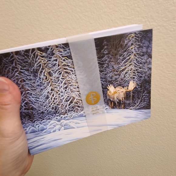 20 Moose Christmas Cards with box - Picture 10 of 11